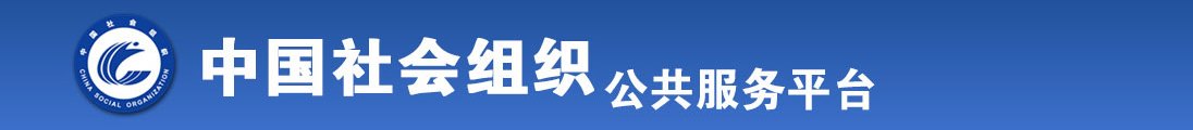 添穴视频黄色网站全国社会组织信息查询